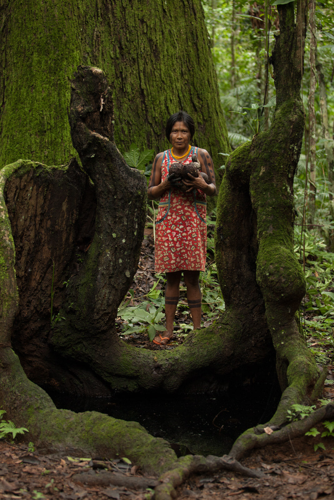 REGENERATIVE FARMING ADVOCATES