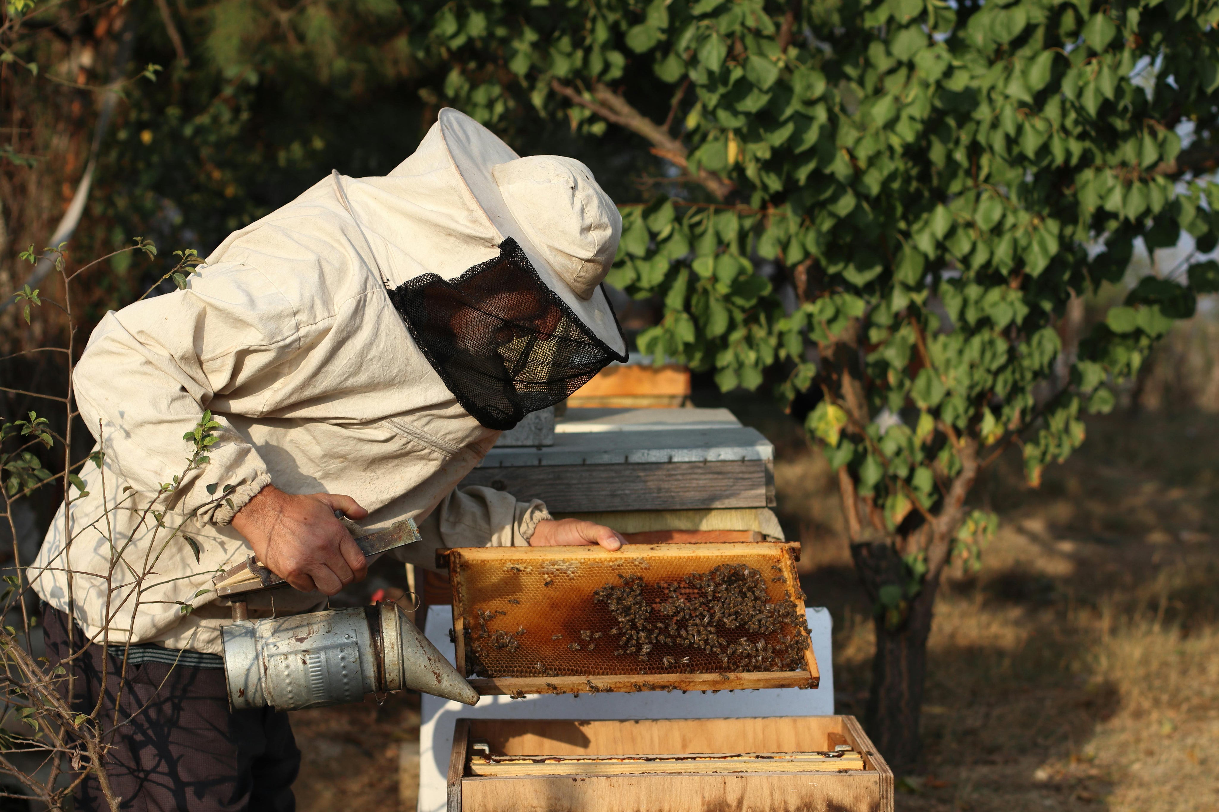 REGENERATIVE FARMING ADVOCATES